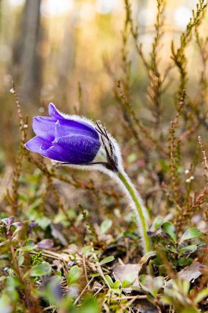 Фотография автора Евгений Глембоцкий