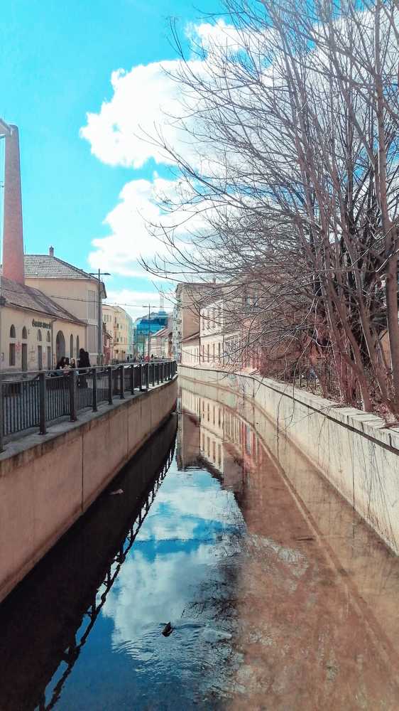 Photograph by Mila Gaziuc