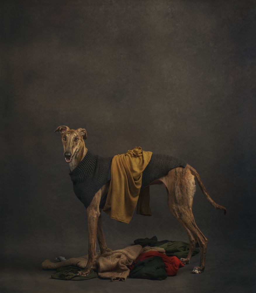 Photograph by Carmen Pascual