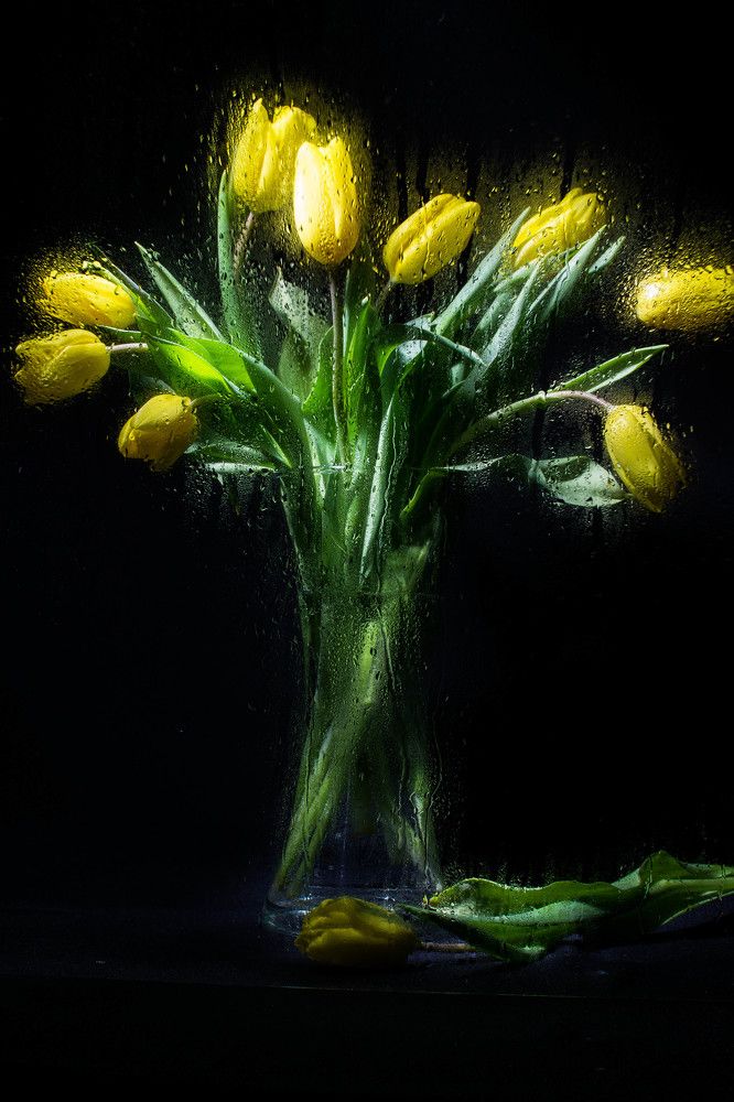 Photograph by Татьяна Суржанская