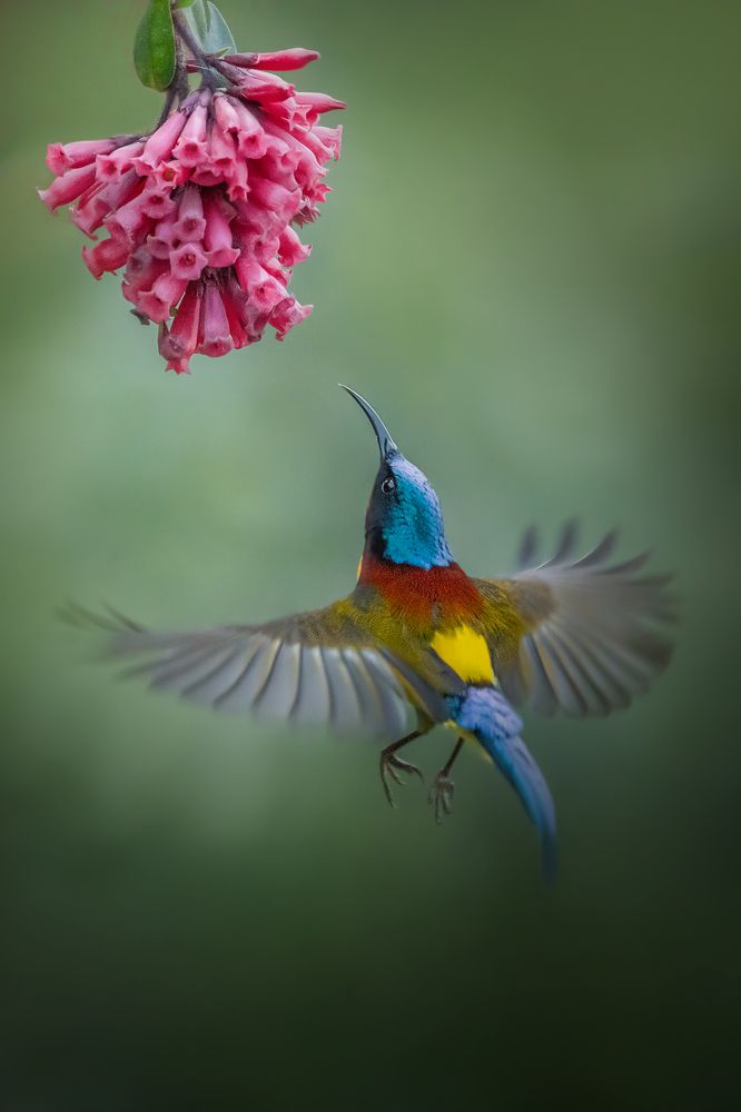 Photograph by Parikshit Das