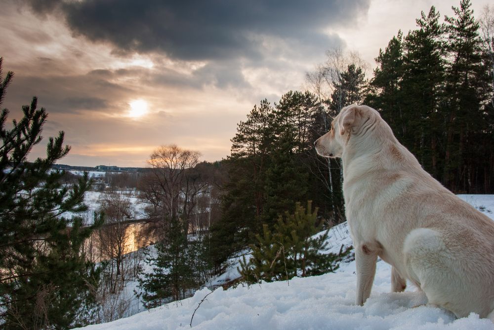 В ожидании весны...