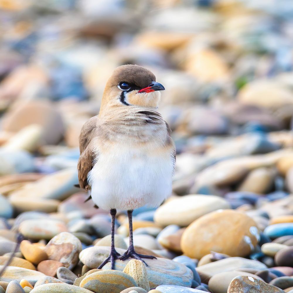 Photograph by Власов Егор