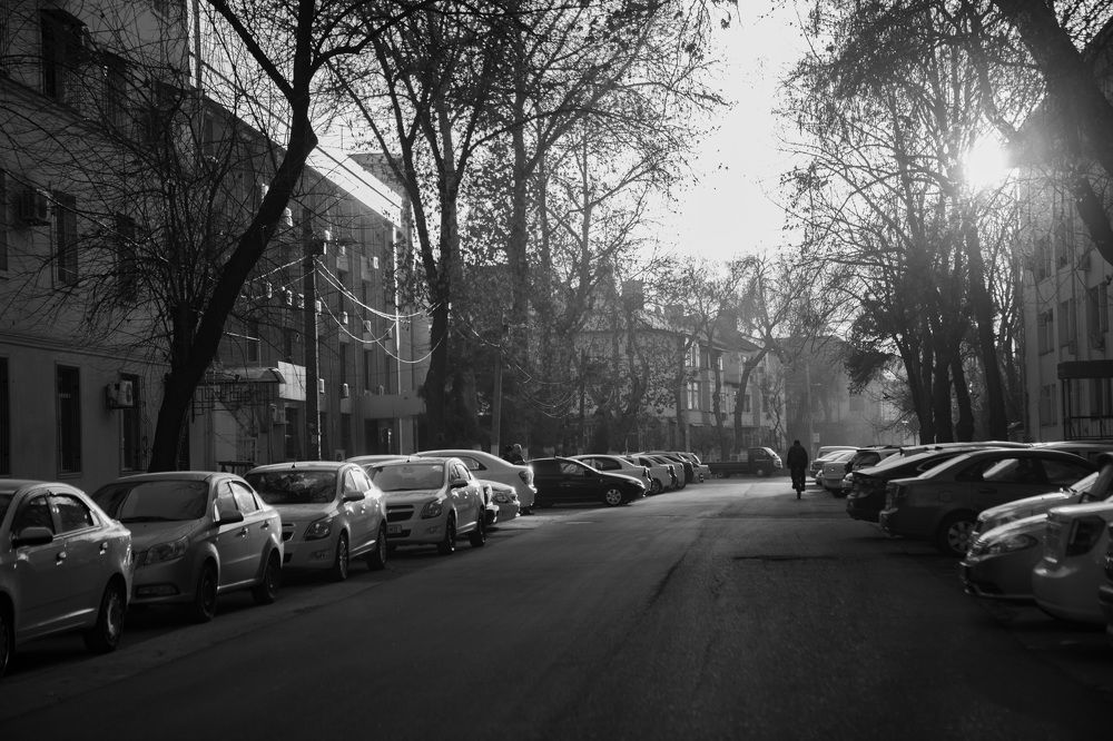 Photograph by Светлана (Кира Дарелл) Ходжаева