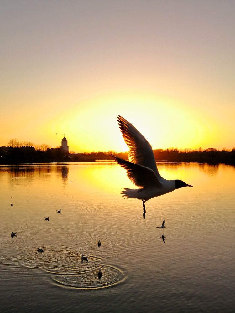 Photograph by Ольга Тимофеева