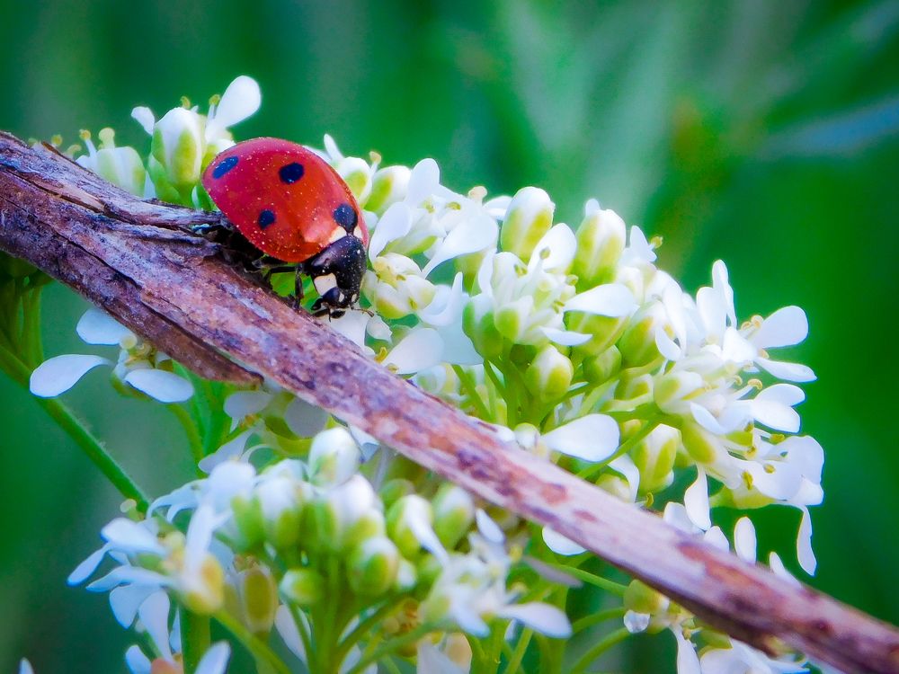 Photograph by meysam