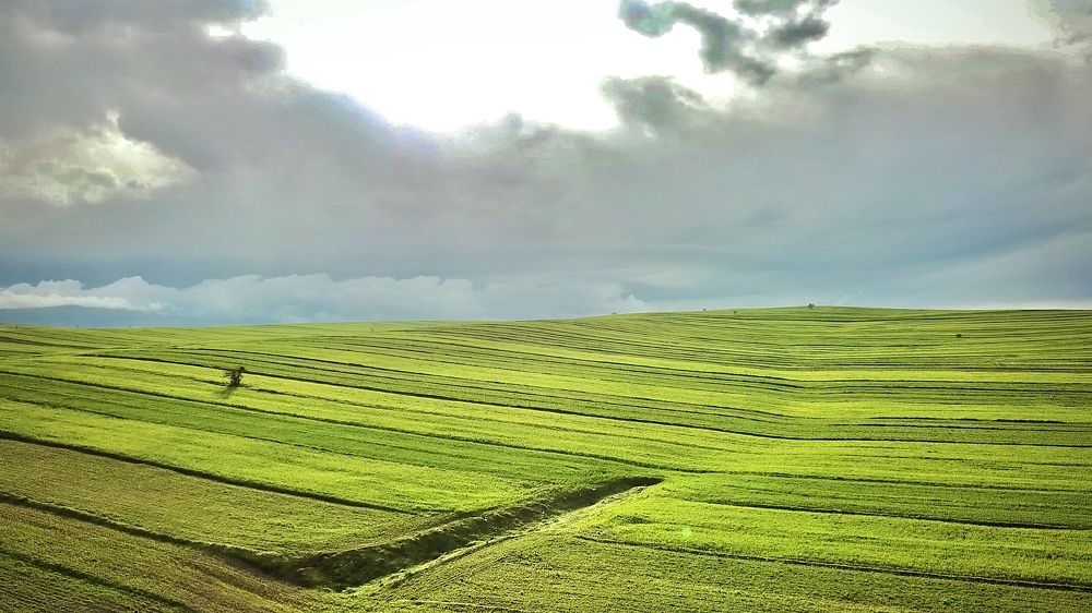 Photograph by Shahram Hodjat