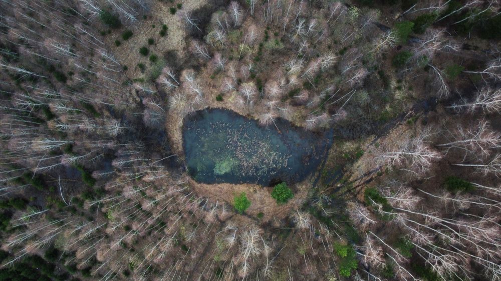 Фотография автора Коротков Алексей