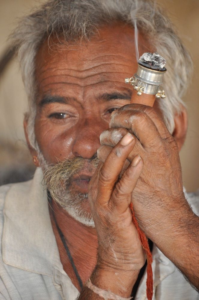 Photograph by Maria Teresa Teixeira de Sousa