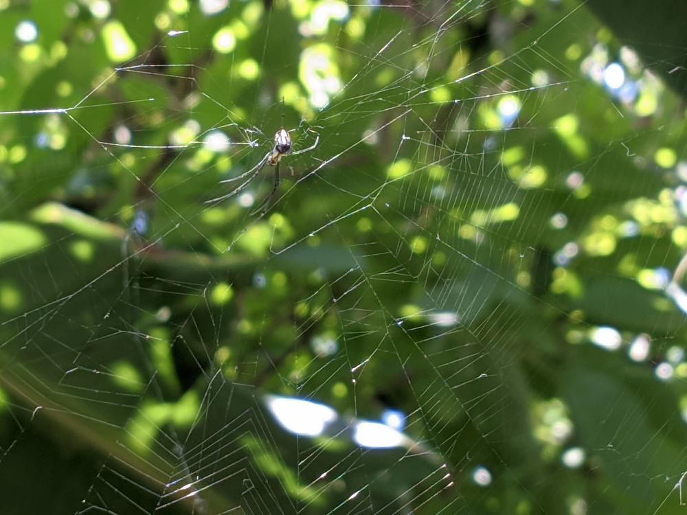 Photograph by Katty Maria Escalante Leguia