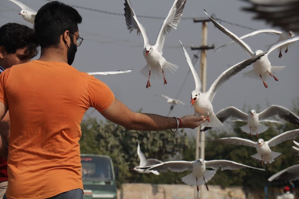 Photograph by Bapodara Sugha