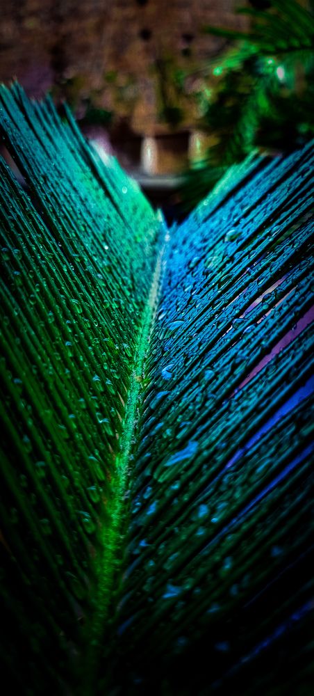 Photograph by Wahab Ijaz