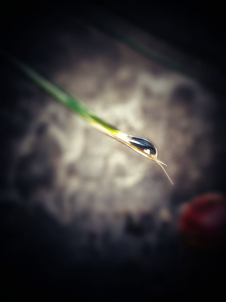 Photograph by Wahabijaz Ijaz