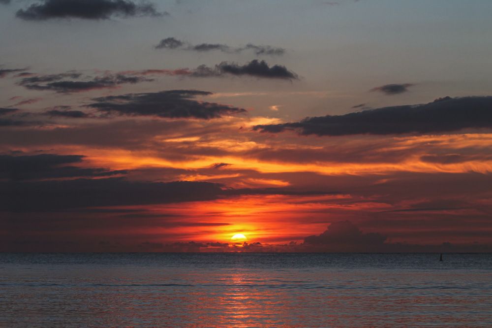 Photograph by Steeven Vaithi