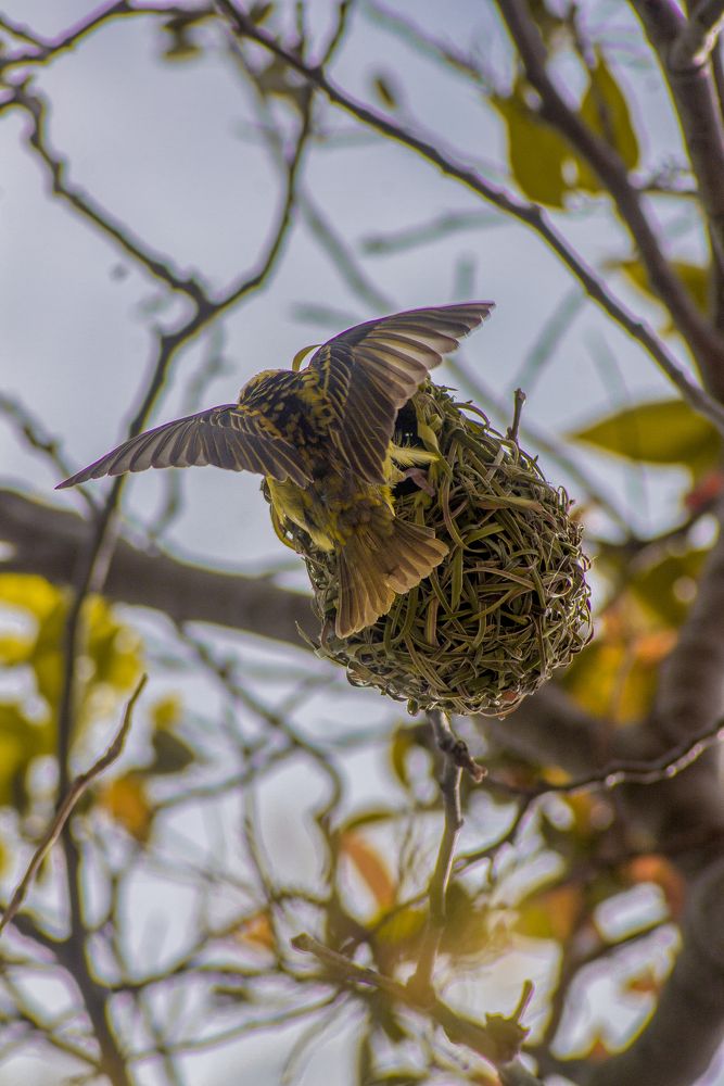 Photograph by Steeven Vaithi