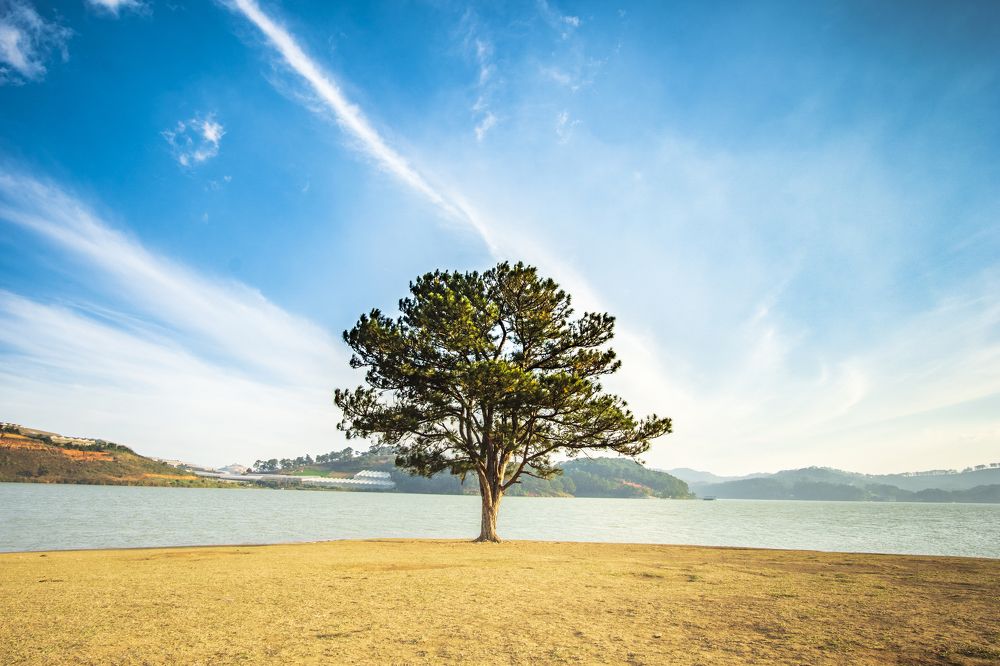 Photograph by Hoai Anh Dang