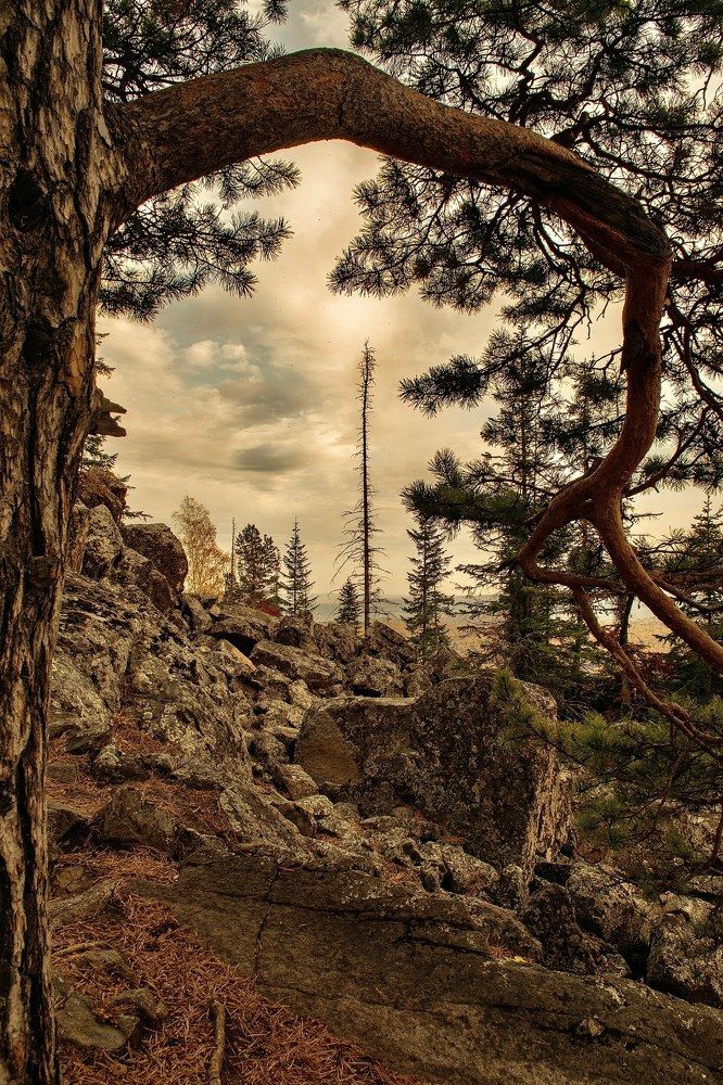 Photograph by Светлана Дмитриева