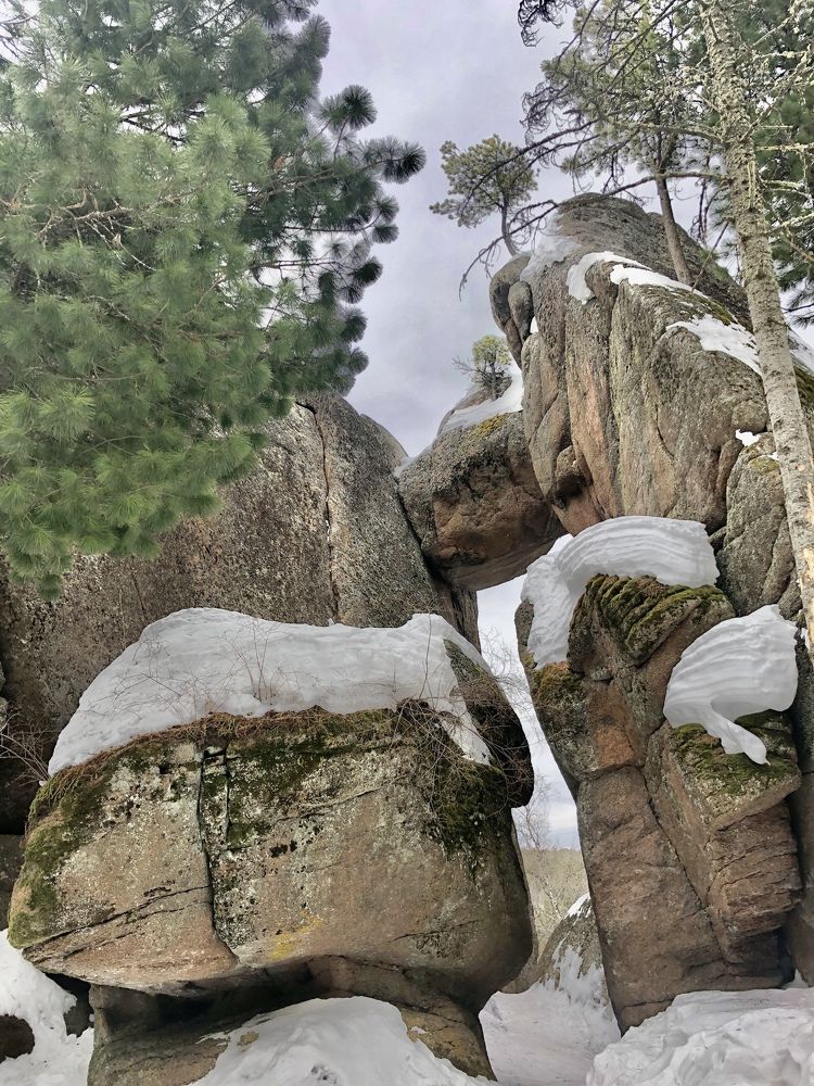 Photograph by Светлана Дмитриева