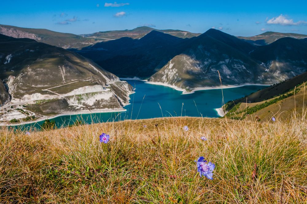 Фотография автора Екатерина Полякова