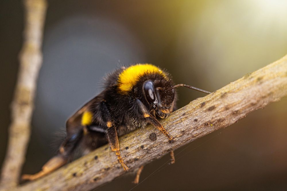 Photograph by Николай Лагоденко
