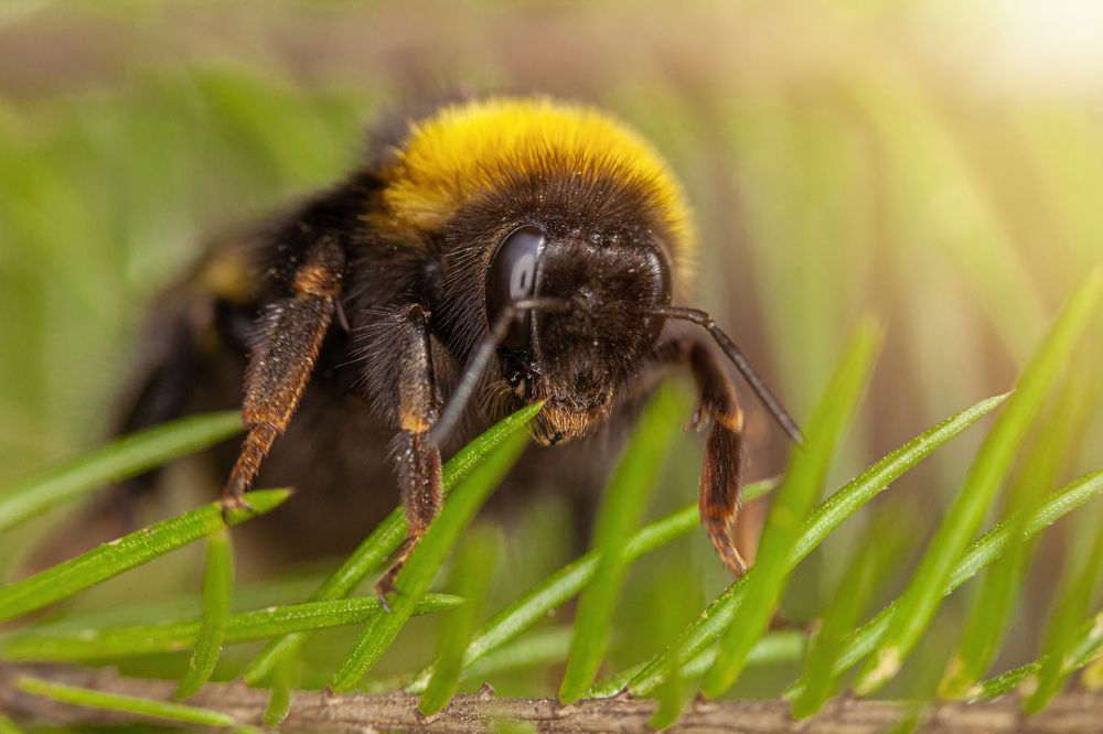 Photograph by Николай Лагоденко
