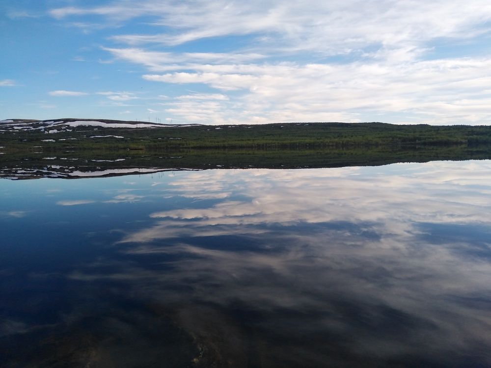 Photo #6031732