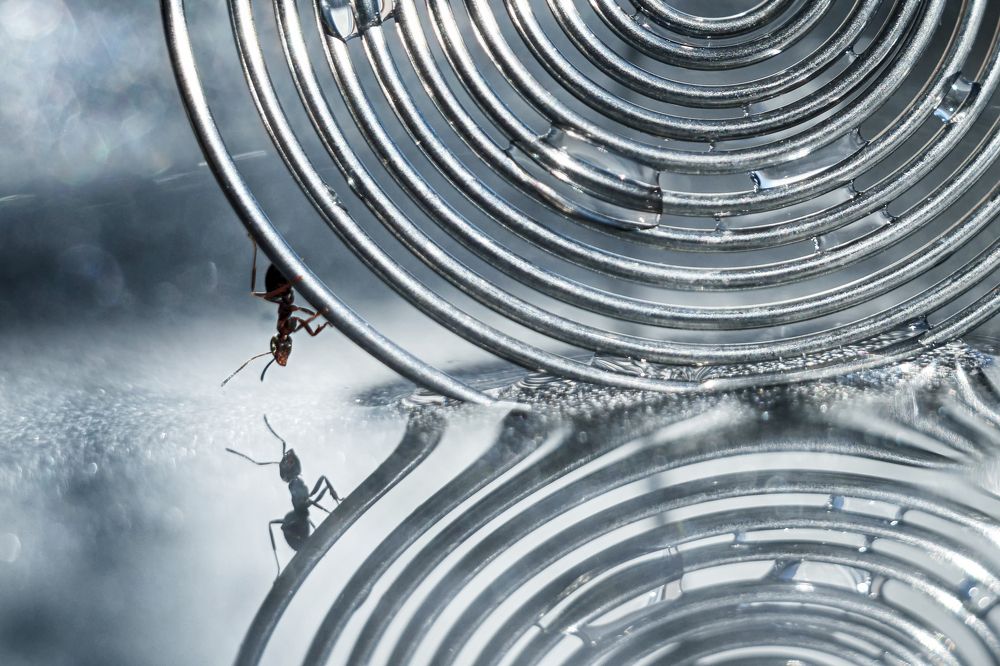 Параллельные миры. Или путешествие по замкнутому кругу...