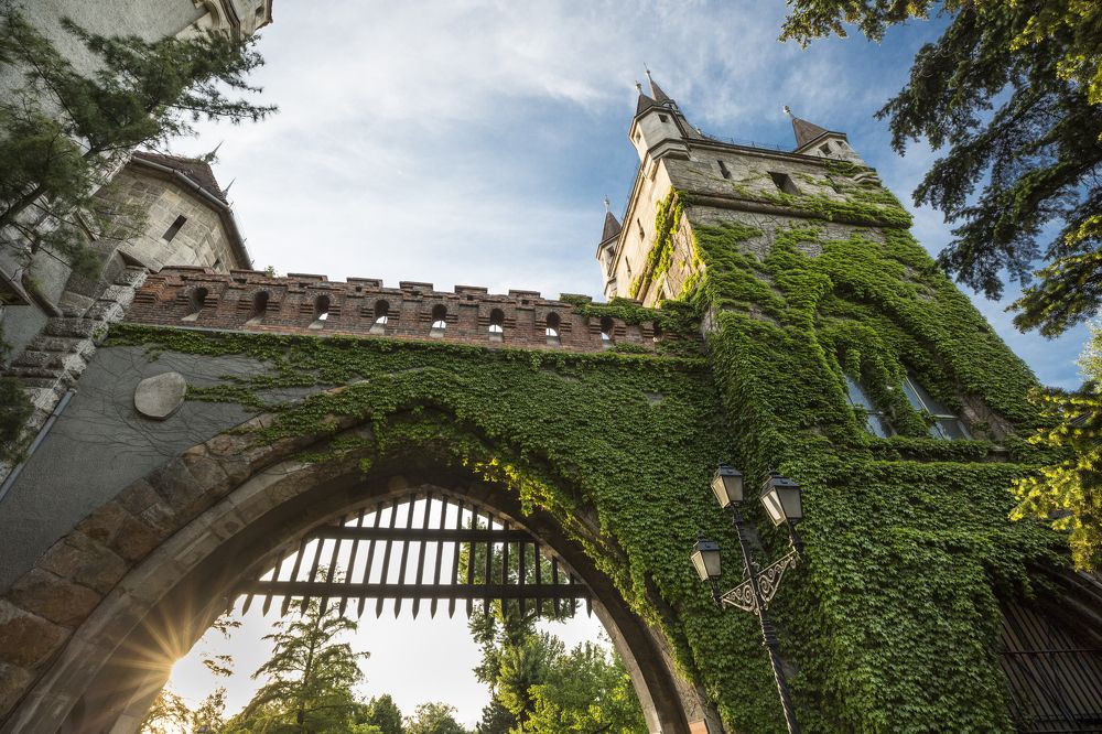 Photograph by Максим Стадниченко