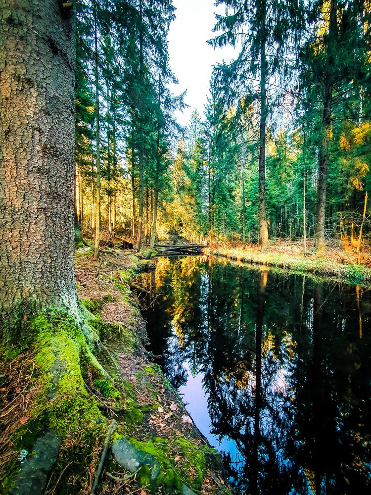 Фотография автора Inna Evseeva