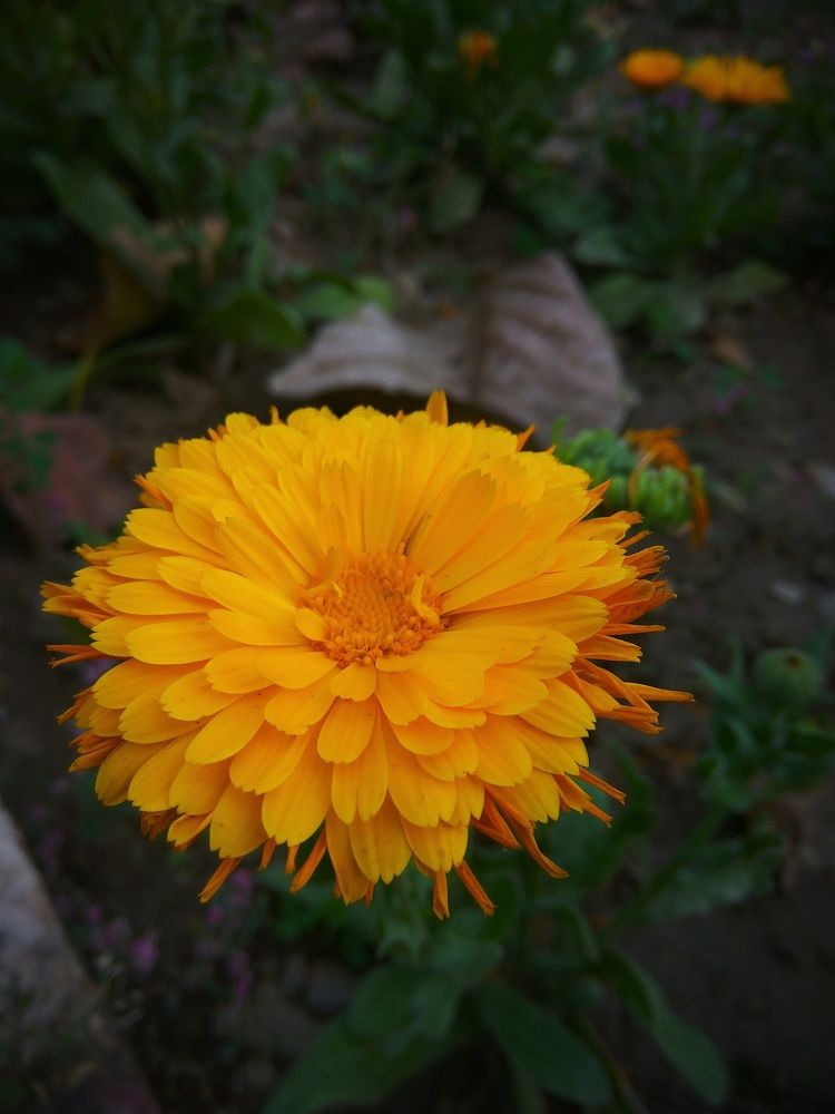 Photograph by Cheshta Sharma