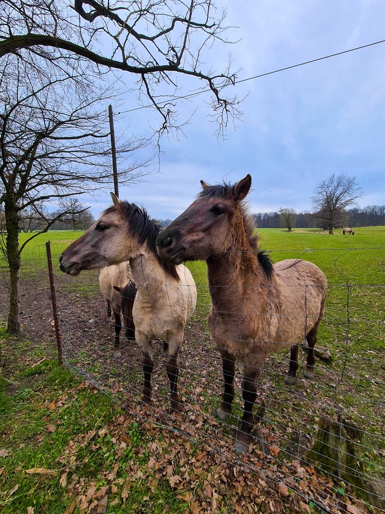 Photograph by Ярослав Грабовой