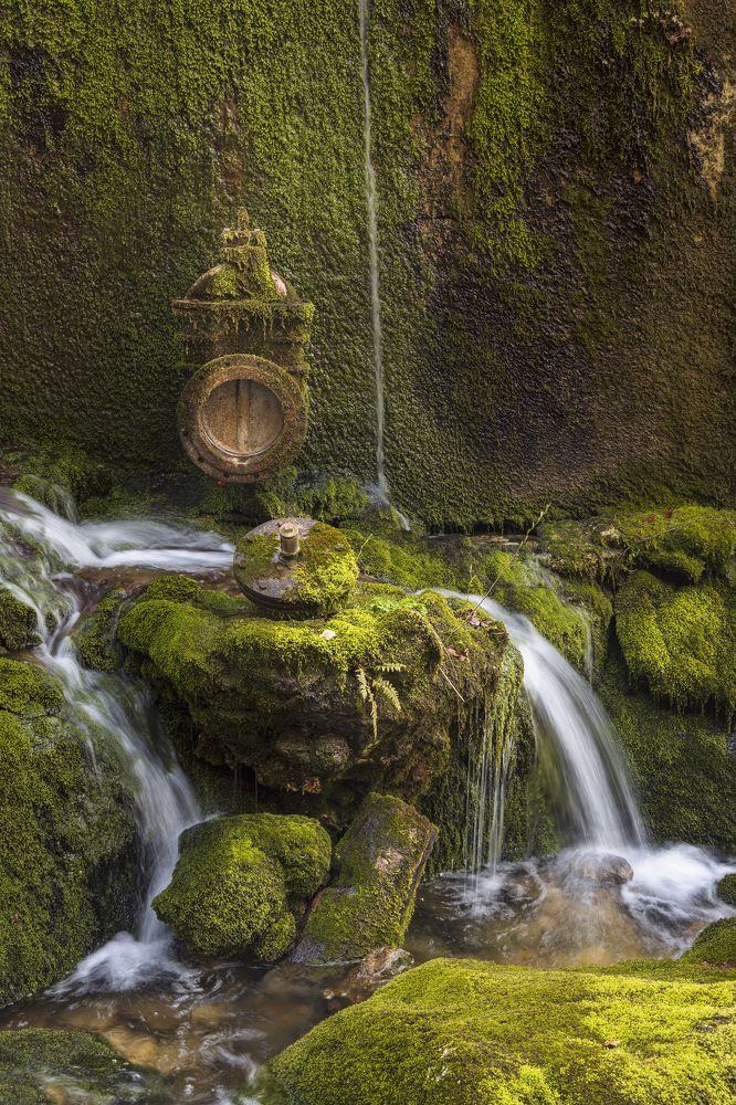 Photograph by Bor Rojnik