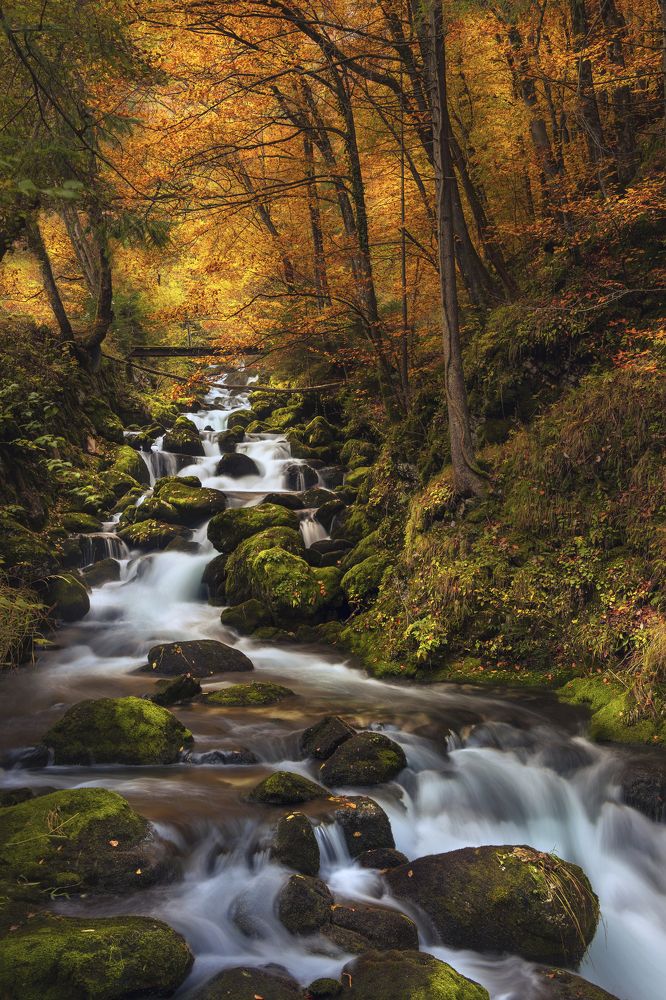 Photograph by Bor Rojnik