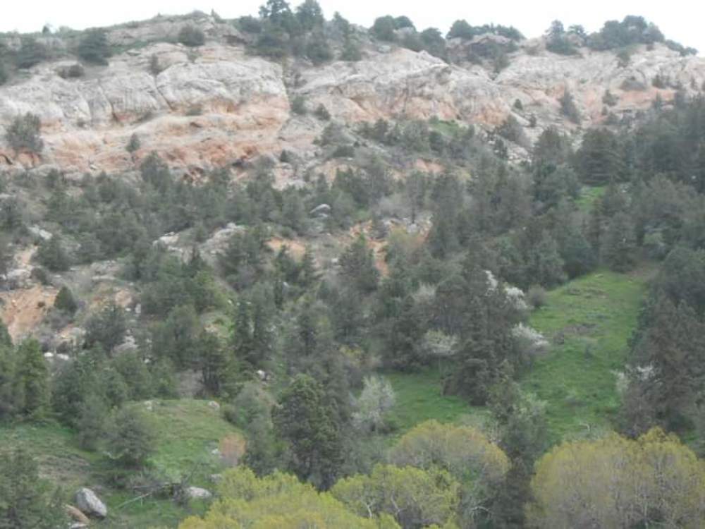 Фотография автора Александр Коновалов