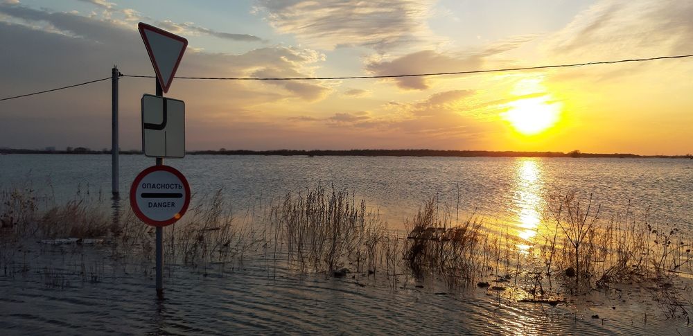 Photograph by Шепелев Дмитрий