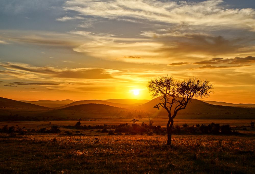 Photograph by Юрий Сычев