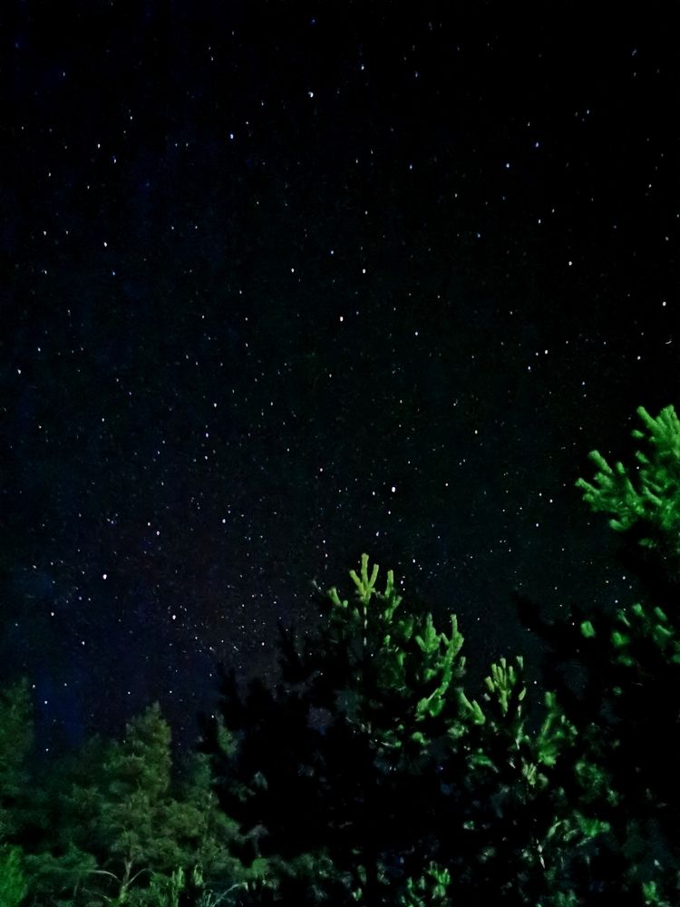 Photograph by Лукина Наталья