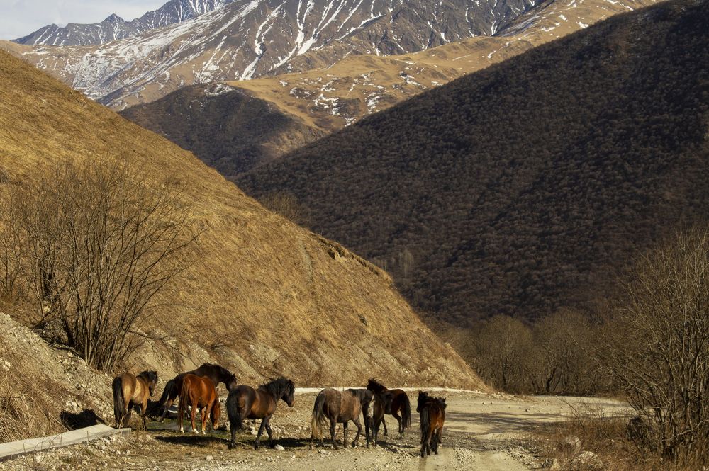 Photograph by Ольга Андрианова