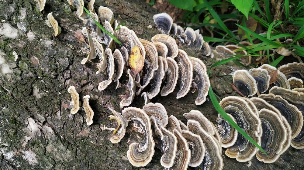 Photograph by Begaly Toktobaev