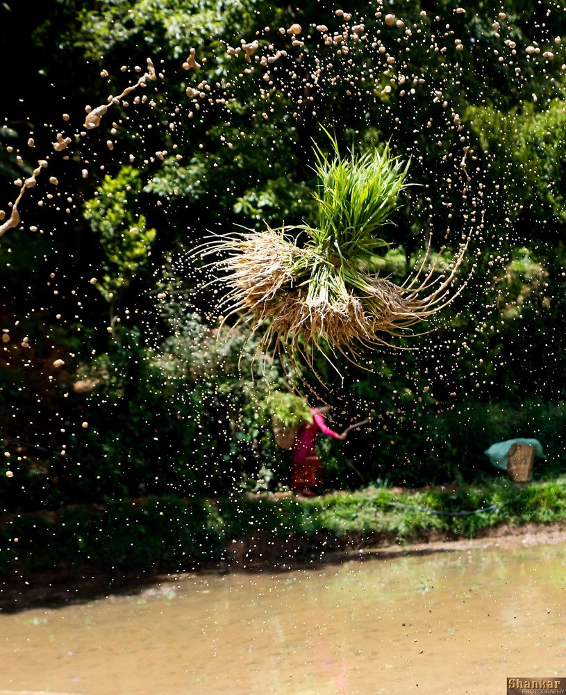 Photograph by shankar bhujel