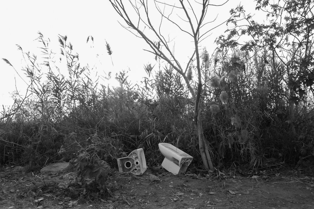 Photo #6032515