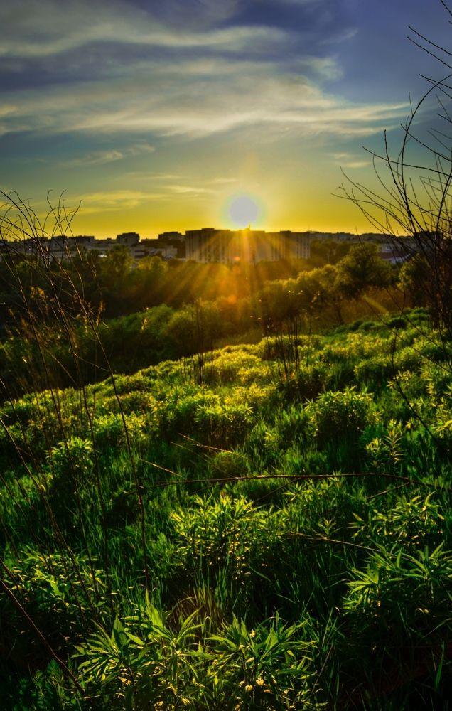 Photograph by Николь Пышненко