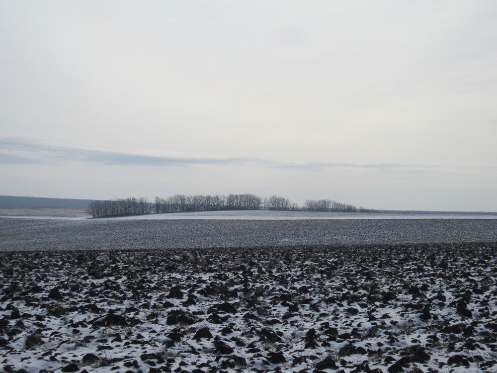 Photo #6032580