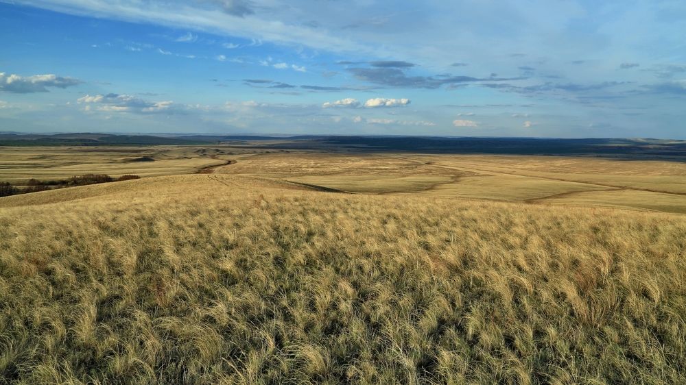 Оренбургская степь