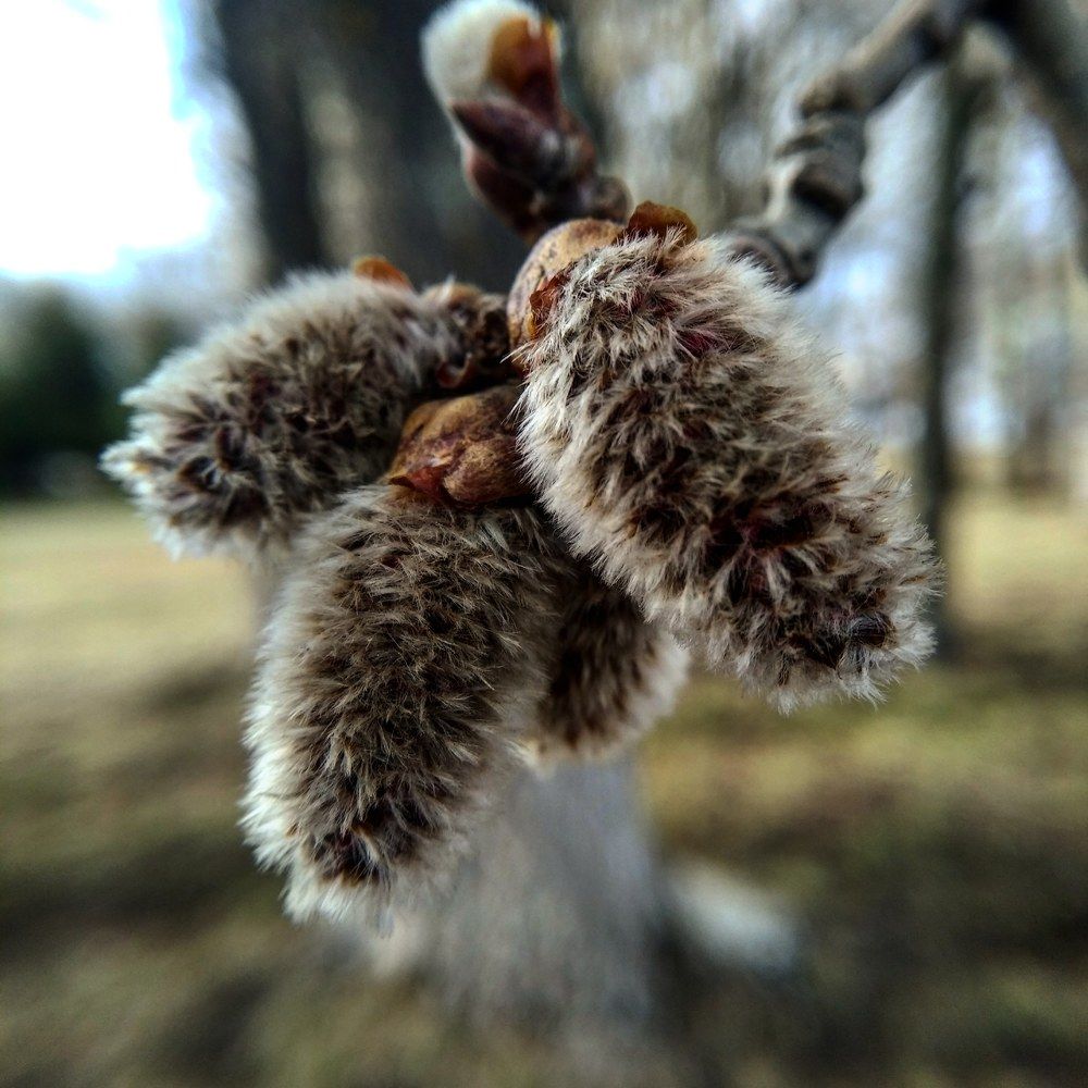 Photograph by Ольга Стариченко
