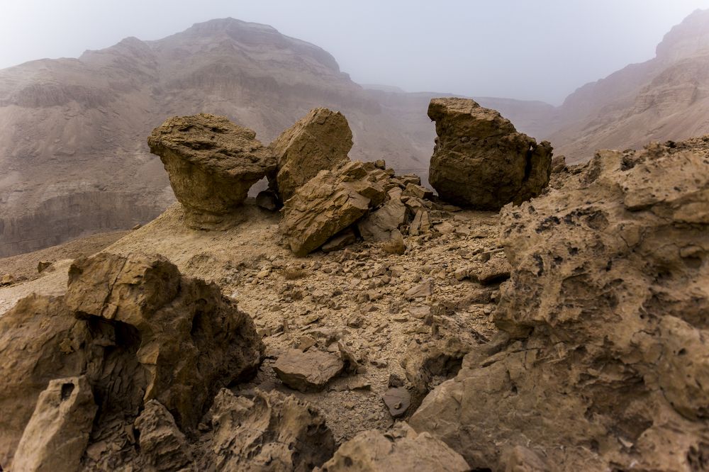 Photograph by Hillel Shatz