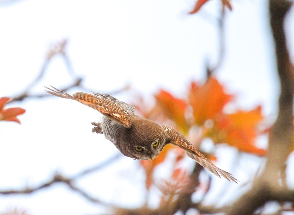Photograph by Atul mehta