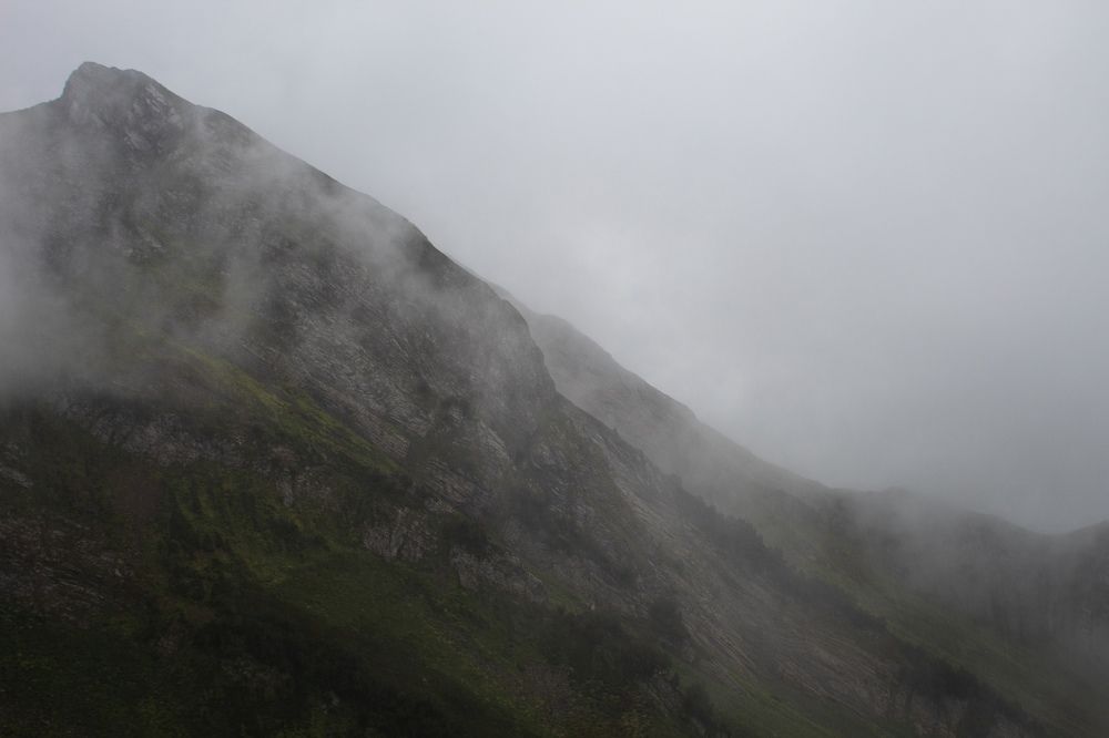 Photograph by Алина Логвиненко