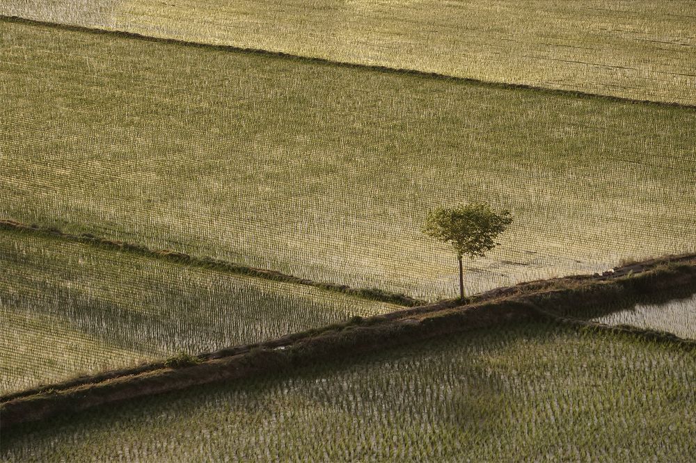 Photograph by Sahba Dorri