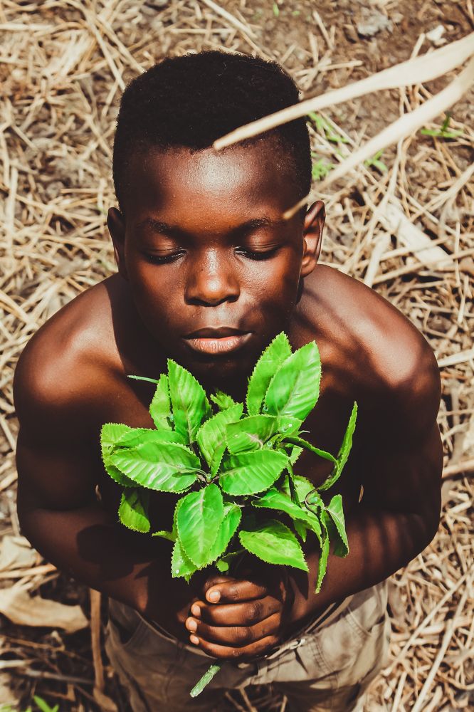 Photograph by David Donald